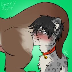 anthro ass ass_up bell bell_collar blush butt_sniffing clayton_(snephead) collar duo erection felid genitals hi_res jameson male male/male mammal mustelid nude otter otter_tail pantherine penis sniffing snout_in_ass snow_leopard spicymustelid substance_intoxication whiskers woozy
