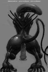 2017 alien alien_(franchise) anal anal_masturbation anal_sex anus ass dildo dildo_sitting female female_xenomorph feral_only masturbation nihilophant penetration rear_view sex_toy simple_background solo toying_self xenomorph