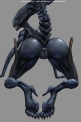 1girls 2017 alien alien_(franchise) alien_girl alien_humanoid all_fours anus ass big_ass big_butt black_skin bubble_ass bubble_butt butt completely_nude dat_ass feet female female_only female_xenomorph genitals grin huge_ass huge_butt humanoid humanoid_feet humanoid_genitalia humanoid_pussy humanoid_vagina monster monster_girl nihilophant nude presenting presenting_anus presenting_ass presenting_butt presenting_hindquarters presenting_pussy presenting_vagina pussy queen raised_tail sharp_teeth simple_background smile solo tail thick_thighs tumblr vagina wide_hips xenomorph xenomorph_queen