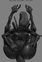 2018 alien alien_(franchise) anus ass breasts female female_xenomorph feral_only nihilophant nipples open_mouth presenting pussy simple_background solo xenomorph