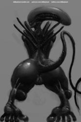 1girls 2017 alien alien_(franchise) anus ass bent_over female female_xenomorph feral_only nihilophant presenting presenting_hindquarters pussy rear_view simple_background solo xenomorph