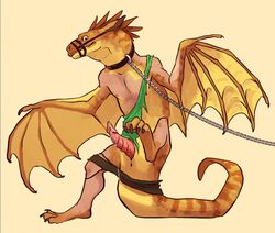 2016 animal_genitalia anus collar cum dragon erection feral forced genital_slit leash male male_only muzzle_(disambiguation) nude paws penis restrained scalie slit solo species_transformation tail transformation wings wyvern zhaqez