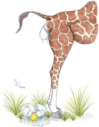 2004 egg egg_laying english_text feral giraffe giraffid grass hi_res humor mammal plant sherwood solo text