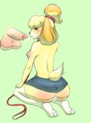 animal_crossing anthro blush bodily_fluids bottomwear breasts brown_eyes canid canine canis clothed clothing collar cum cum_in_mouth cum_in_vagina cum_inside cum_string disembodied_penis domestic_dog duo female female_anthro fur genital_fluids genitals glistening glistening_genitalia hair hi_res human humanoid_genitalia humanoid_penis isabelle_(animal_crossing) knee_highs kneeling leash legwear looking_at_viewer male male/female mammal miniskirt nintendo no_underwear open_mouth paws penis simple_background skirt submissive submissive_anthro submissive_female tail tan_body tan_fur tied_hair vaginal_fluids velvet_glyph vulva yellow_body yellow_fur