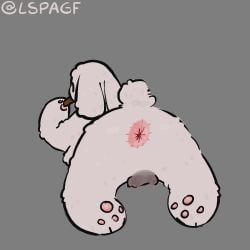 absurd_res anthro anus balls big_fat_stinky_unwashed_sweaty_bunny_(lspagf) darkened_balls darkened_genitalia eating genitals grey_background hi_res lagomorph leporid lspagf lying male mammal on_front pawpads rabbit scut_tail short_tail simple_background solo tail