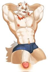 1boy abs animal_ears arknights armpits arms_behind_head bara black_male_underwear boxers colored_tips commentary_request dog_ears dog_tail furry furry_male highres horns hung_(arknights) komainu_boy looking_to_the_side male_focus male_underwear multicolored_hair muscular muscular_male navel nipples no_pants no_shirt open_mouth pectorals penis_out precum single_horn smile sx_teatea tail topless_male underwear white_background