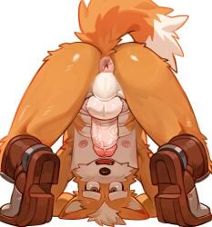 absurd_res anthro art_uza ass_up backsack balls boots boots_only butt canid canine clothing fluffy fluffy_tail footwear footwear_only fox fox_mccloud fur genitals glass hi_res humanoid_genitalia humanoid_penis looking_through_legs_at_viewer male mammal mostly_nude nintendo orange_body orange_fur penis perineum presenting presenting_hindquarters rear_view shoes solo star_fox tail