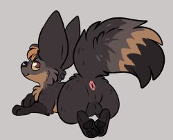 anus balls butt canid canine dipstick_tail feral fox fur genitals hair hi_res kaiizree korwin looking_back lying male mammal markings multicolored_tail nude pawpads paws puckered_anus simple_background smile solo tail tail_markings