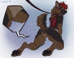 2026 andromorph anthro anus biped blush butt buttplug canid canine canis claws countershade_torso countershading digital_drawing_(artwork) digital_media_(artwork) domestic_dog feet fur genitals hair hi_res intersex kneeling looking_at_viewer mammal marsccts nude nude_andromorph nude_anthro nude_intersex paws plug_(sex_toy) rear_view sex_toy simple_background smile solo tail teeth toes vulva