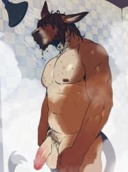 2026 anthro asinus balls bathing biped brown_body brown_fur brown_hair digital_media_(artwork) donkey equid equine eyes_closed fur genitals hair half-erect hi_res humanoid_genitalia humanoid_penis male male_anthro mammal multicolored_body multicolored_fur nude_anthro nude_male penis pubes roamingthrough showering solo wet wet_body white_body white_fur