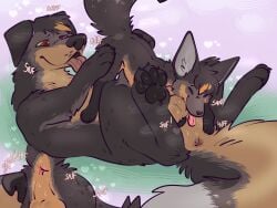 anus balls bat-eared_fox butt_sniffing canid canine canis dipstick_tail domestic_dog duo feral fox fur genitals hair hi_res korwin male mammal markings molosser mountain_dog nude open_mouth pariahpuppy pawpads paws saint_bernard size_difference sniffing tail tail_markings tongue tongue_out