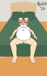 5:8 anthro bed belly big_belly breasts digital_media_(artwork) female flamingazalea fur furniture genitals hi_res lagomorph leporid mammal navel nipples nude on_bed pregnant rabbit sega sonic_the_hedgehog_(series) tan_body tan_fur vanilla_the_rabbit vulva white_body white_fur