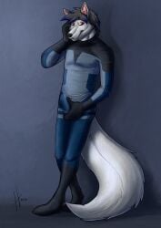2019 absurd_res anthro black_clothing black_nose black_skinsuit blue_clothing blue_hair blue_skinsuit bulge canid canine closed_smile clothed clothing detailed_bulge fangs front_view full-length_portrait fur genital_outline glistening glistening_eyes grey_clothing grey_hair grey_skinsuit hair hi_res hufnaar inner_ear_fluff looking_at_viewer male male_anthro mammal mouth_closed multicolored_clothing multicolored_hair multicolored_skinsuit penis_outline pink_inner_ear_fluff portrait red_eyes simple_background skinsuit slim_anthro slim_male smile solo standing tail teeth tight_clothing tuft two_tone_hair white_body white_fur white_tail