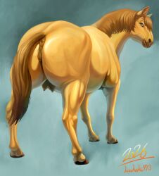 animal_genitalia animal_vulva anus equid equine equine_anus equine_genitalia equine_vulva female feral genitals hi_res horse kouhaku773 mammal solo vulva
