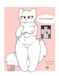 anthro blush chubby_female doxy__foxy00 fluffy fluffy_tail girlkisser hi_res looking_at_viewer neck_fluff nipples pink_background pink_nipples pussy reference_image roblox roblox_avatar robloxian self_upload silly_cat_(mauzymice) solo_female standing text_bubble tummy white_fur