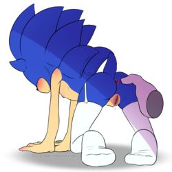 anus ass cuntboy duckyeah garter_straps intersex on_all_fours pussy rule_63 sonic_(series) sonic_the_hedgehog spread_ass thighhighs