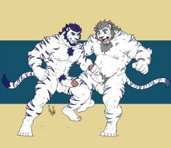 anthro balls duo elderly felid feline fight genitals hunterramirez male male/male mammal muscular pantherine penis slightly_chubby smile tail tiger tom_(hunterramirez)