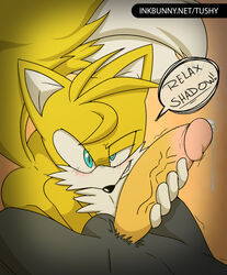 2boys balls blush imminent_sex naughty_face penis pov precum precum_string shadow_the_hedgehog sonic_(series) tails tushy_artist veiny_penis yaoi