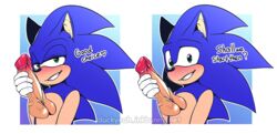 dildo duckyeah gay looking_at_viewer male sonic_(series) sonic_the_hedgehog yaoi