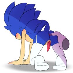 anus ass duckyeah garter_straps male male_only on_all_fours penis sonic_(series) sonic_the_hedgehog spread_ass thighhighs