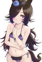 rice_shower_(umamusume) tagme