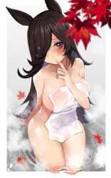 rice shower (umamusume) from umamusume by patchouligo