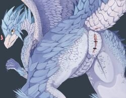 2026 4_fingers anus blue_body blue_scales butt capcom censor_bar censored claws d-crow detailed digital_drawing_(artwork) digital_media_(artwork) elder_dragon female female_feral feral finger_claws fingers genitals glistening glistening_eyes grey_background heart_symbol hi_res humanoid_genitalia humanoid_genitalia_on_feral humanoid_vulva humanoid_vulva_on_feral ineffective_censorship looking_at_viewer looking_back monster_hunter multicolored_body open_mouth portrait presenting presenting_anus presenting_hindquarters presenting_vulva pupils raised_tail scales shaded sharp_teeth simple_background solo tail tail_anus teeth three-quarter_portrait velkhana vulva white_body white_sclera wings yellow_eyes