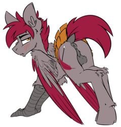 anus ass avian balls blush cutie_mark equine feathered_wings feathers feral gryphon hybrid looking_back male mammal my_little_pony pegasus ralekarts solo standing wings