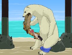 absurd_res animal_genitalia anthro anthro_on_anthro anthro_penetrated anthro_penetrating anthro_penetrating_anthro anthro_pred anthro_prey balls bear bra callie_(strega) cheetah claws clothing erection feet_first felid feline fellatio female female_anthro female_penetrated female_prey fur genitals greg_(strega) group hi_res hyena male male/female male_anthro male_penetrating male_penetrating_female male_pred male_prey mammal multiple_pred naja_(strega) oral oral_penetration oral_vore partially_inside penetration penile penile_penetration penis penis_in_mouth polar_bear recursive_vore sand sea semi-anthro sex sheath short_tail strega tail trio underwear ursine vore water whiskers white_body white_fur