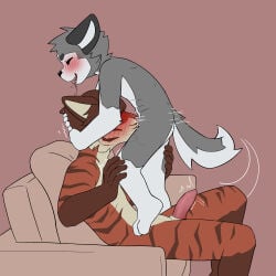 cub furry gay minishadefox tagme