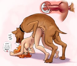 all_fours animal_penis bestiality breasts canine canine_penis cum cum_in_pussy cum_in_uterus cum_inside doggy_style dominant_feral female female_on_feral female_penetrated feral feral_on_female feral_on_human feral_penetrating feral_penetrating_female feral_penetrating_human from_behind human_female human_on_feral interspecies joachim knot knotted knotting male nonhuman_male_on_human_female open_mouth penetration penis red_hair sex straight uterus vaginal_penetration x-ray zoophilia