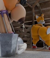 3d 3d_(artwork) ana_(countersfm) anthro balls barn big_balls big_breasts big_butt big_penis bodily_fluids breasts bucket butt canid canine clenched_teeth container digital_media_(artwork) domestic_cat duo fan_character felid feline felis fox freckles genital_fluids genitals gynomorph hand_on_butt horseshoe huge_breasts huge_butt huge_penis hyper hyper_breasts hyper_butt hyper_genitalia hyper_penis intersex kirby_animatez lactating leaking_precum looking_back machine male mammal miles_prower milking_machine narrowed_eyes penile penis penis_milking penis_milking_machine precum red_fox sega sonic_(series) sonic_the_hedgehog_(series) teeth thick_thighs true_fox