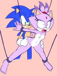 blaze the cat from sonic (series) by biffalo