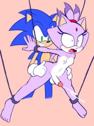 blaze the cat from sonic (series) by biffalo