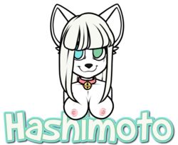 anthro breasts feline fur furry furry_only hair hashimoto-chan heterochromia honesty mammal no_humans white_fur white_hair