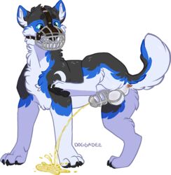 alpha_channel anatomically_correct animal_genitalia anus backsack balls blue_eyes canine chastity_cage doggadee feral furry male mammal messy muzzle_(object) muzzled paws peeing penis simple_background solo tongue transparent_background urine watersports