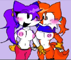 2girls big_breasts breasts female female_only fox fox_girl genderswap_(mtf) gloves hedgehog hedgehog_girl hedgehog_humanoid long_hair looking_at_each_other luther_(needlemouse) multiple_girls needlemouse_(character) needlemouse_(series) nipples ponytail purple_fur purple_hair rule_63 sarah_henderson_(needlemouse) yellow_gloves yuri