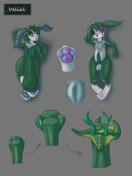 absurd_res anthro bat demon dust:_an_elysian_tail feet futanari genitals gynomorph hi_res intersex kaonari looking_at_viewer mammal model_sheet nimbat nude paws penis pussy solo tail tentacle toes unusual_anatomy unusual_tail veli_(character)