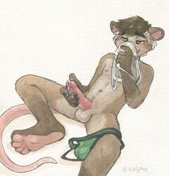 anthro brown_eyes brown_fur brown_hair clothing erection fur hair jockstrap lying male male_only mammal marsupial masturbation musk navel on_back opossum sicklyhypnos smelling solo underwear