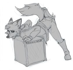 amplifier anthro bent_over boots canine clothed clothing darma drooling female footwear fox hoodie mammal penis rock_dog saliva simple_background tzarvolver