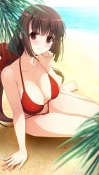 1girls arm_support artist_name barefoot beach big_breasts bikini black_hair blush breasts brown_eyes brown_hair busty cleavage collarbone feet female female_only headband highres irori_(irorixc) kumon_waka large_breasts long_hair looking_at_viewer ocean phantom_breaker red_bikini red_headband sensual sitting smile solo swimsuit thong_bikini very_long_hair voluptuous water