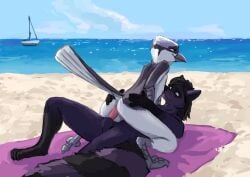 absurd_res anal anal_penetration anthro avian avian_feet balls beach beak bird boat butt digital_media_(artwork) duo erection feathers feet from_front_position fur genitals hair hi_res male male/male male_penetrated male_penetrating male_penetrating_male mammal nude outdoor_nudity outside outside_sex penetration penile penile_penetration penis penis_in_ass procyonid raccoon seaside sex sex_on_the_beach smile tail tail_feathers talons tazal toes towel vehicle water watercraft