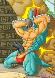 anthro balls big_penis breath_of_the_wild clothing erection hands_behind_head humanoid_penis kass_(zelda) kneeling looking_at_viewer male male_only muscular muscular_male nintendo nipples penis precum rito saruuk solo the_legend_of_zelda underwear vein video_games