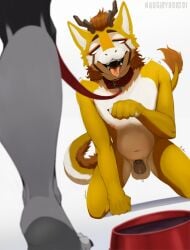 absurd_res ahegao asian_mythology azahar_qilin balls bdsm blush bodily_fluids bowl chastity_cage chastity_device chinese_mythology collar container dominant dominant_male dragon duo east_asian_mythology genital_fluids genitals hair hi_res kirin leash looking_pleasured male male/male mammal mythological_creature mythological_scalie mythology naughty_borzoi open_mouth petplay precum roleplay scalie solo submissive submissive_male tail tongue tongue_out unsupported_chastity_cage