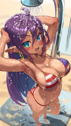 american_flag_bikini beach_shower bikini large_breasts life_is_pi purple_hair shantae shantae_(character) tagme