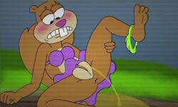 animated bikini female furry nickelodeon parody patrick_star peeing retro sandy_cheeks spanky15 spongebob_squarepants spongebob_squarepants_(character) squirrel tagme television urine video