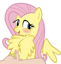 anon blush canon_x_oc chest_fluff chestjob edit female fetish flashequestria fluffjob fluttershy_(mlp) human human_male human_male_on_mare human_on_pony_action interspecies just_the_tip male mare my_little_pony nude partial_male pegasus penis pony show_accurate show_accurate_porn straight undeadponysoldier