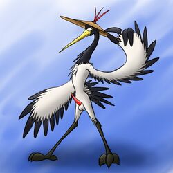 avian balls bassybird bassywolfeh beak bird crane dreamworks erection feathers feral hat hi_res kung_fu_panda male male_only master_crane mostly_nude penis simple_background solo talons tapering_penis toes