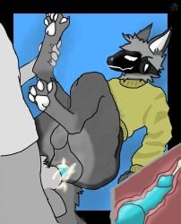 archie_(zabivnoy_krabsburger) canine_penis cum cum_inside femboy knot looking_at_partner male/male protogen sweater x-ray zabivnoy_krabsburger