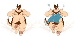 anthro apron balls belly big_belly blue_apron blue_clothing brown_body brown_fur brown_tail canid canine canis chocolateandmilk clothing domestic_dog erection front_view fur genitals hi_res holding_object huge_belly male male_anthro mammal moobs nude obese obese_anthro obese_male open_mouth overweight overweight_anthro overweight_male running simple_background solo tail tan_balls tan_body tan_fur tan_tail tongue tongue_out white_background